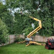 Best Lawn Maintenance Plans  in Lyons, NJ